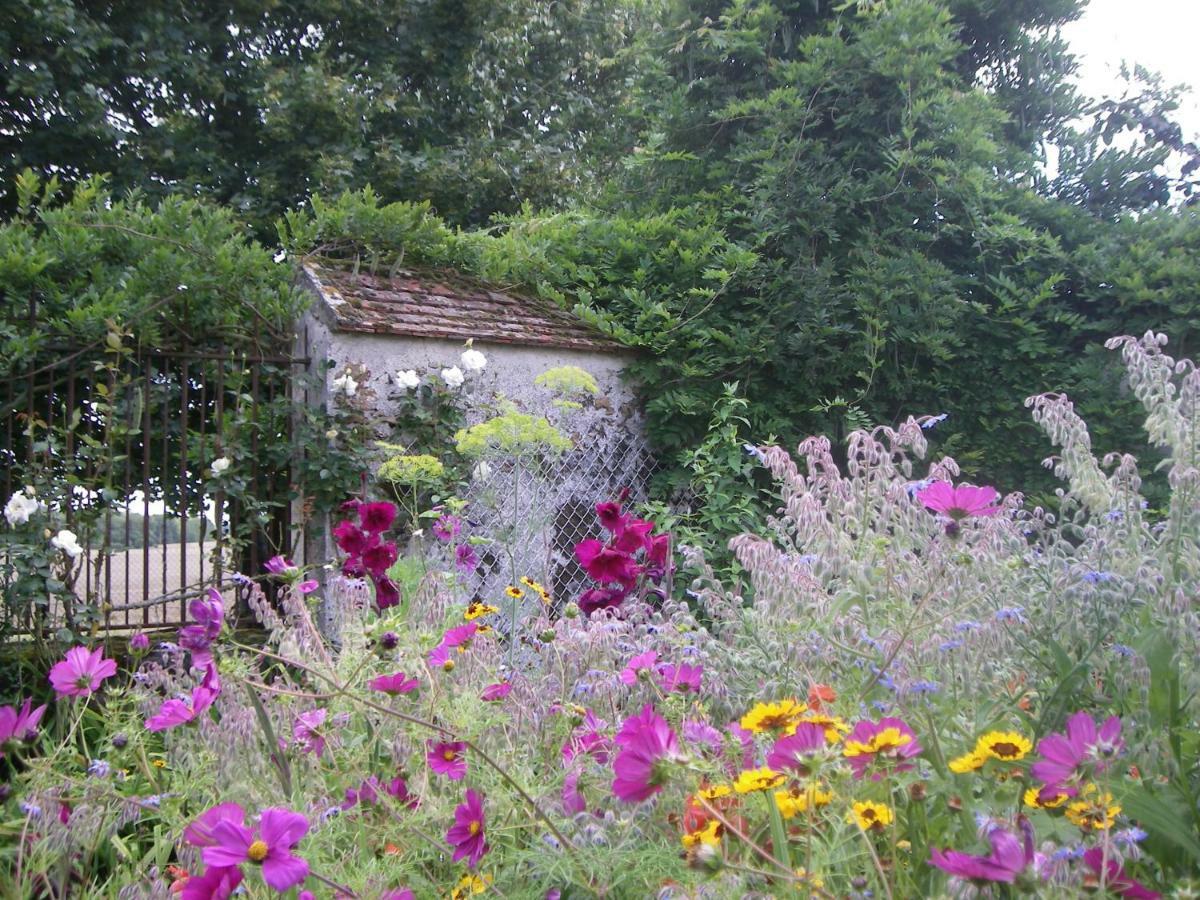 La Ferme Le Merger Bed and Breakfast La Ferté-Gaucher Buitenkant foto